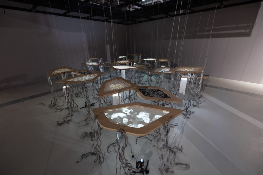 Daniah AlSaleh, Delicate, 2019. Common Ground Festival. Sigg Art Foundation.